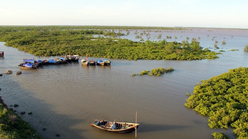 Khám phá rừng ngập mặn và hệ sinh thái đa dạng 